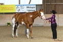 23-APHA SS_012